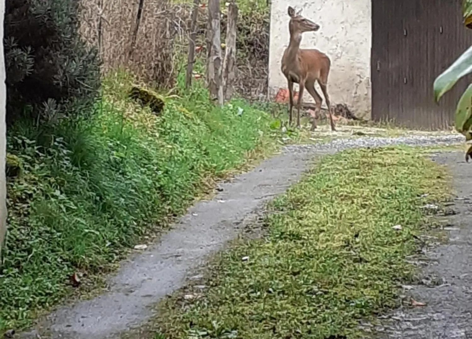 Hébergement de vacances Gîte de la Ouedolle Sengouagnet