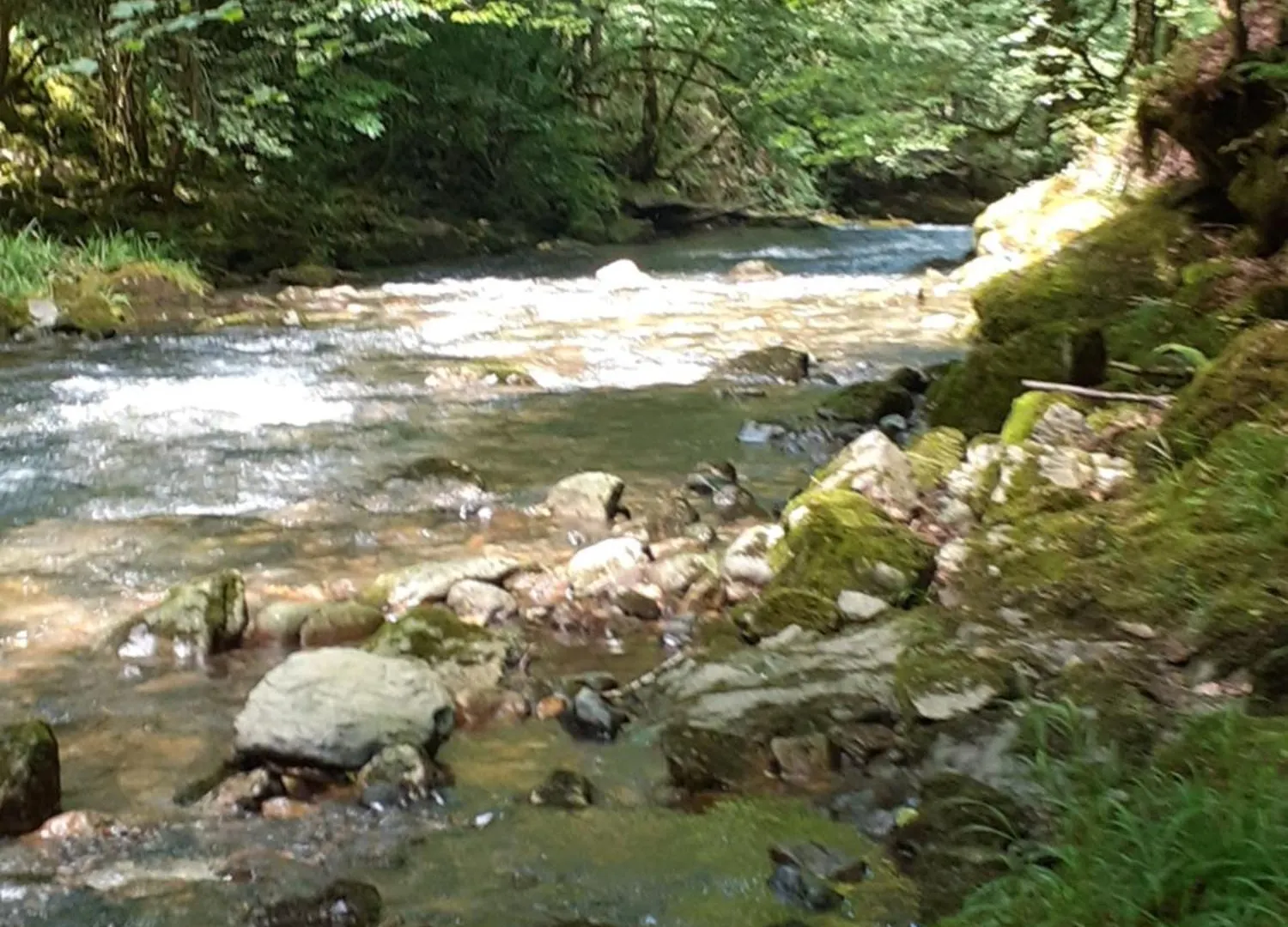 Gite De La Ouedolle Sengouagnet